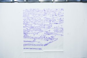 Untitled. 2018