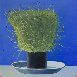 Cress scallions, 2019.