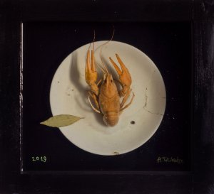 Crayfish, 2019.