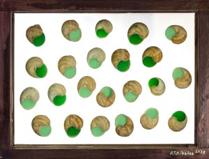 23 snails, 2019.