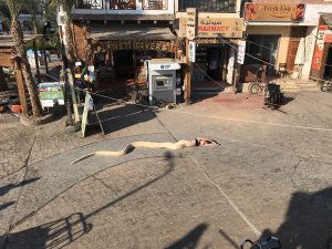 Snake on Holiday series frame 7, 2019.