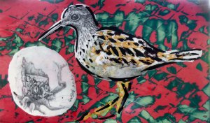 Wader and Tree Stump
