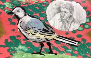 Wagtail and Bird Catcher