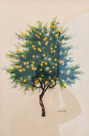  Mandarin tree, 2020.