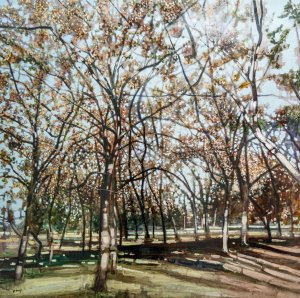 Mukhrani Forest, 2020.