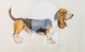 Basset, 2018.