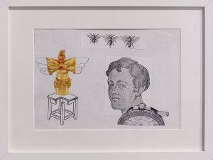 Collage from the series 