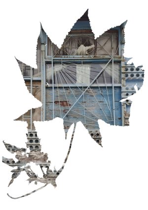 «Гербарий», 2021