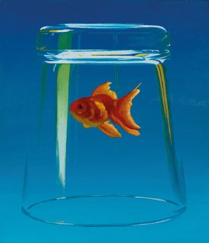 Goldfish 1. 2018