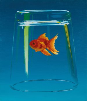 Goldfish 5. 2018