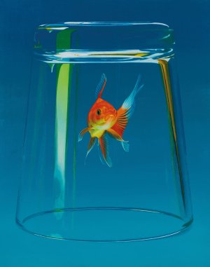 Goldfish. 2023