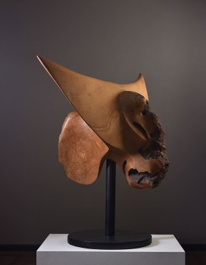 Буффало, 2015