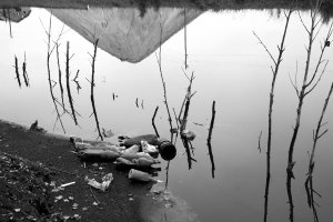 36 Views. Photo series, 2012-2015