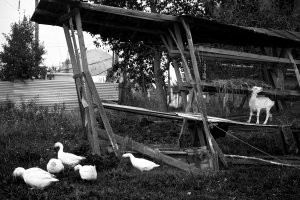 36 Views. Photo series, 2012-2015