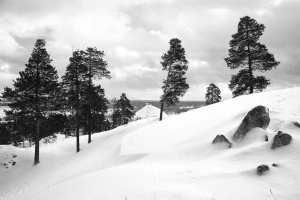 36 Views. Photo series, 2012-2015