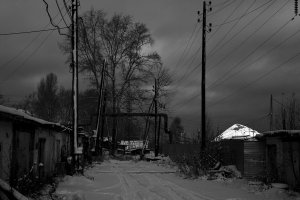 36 видов. серия фотографий, 2012-2015